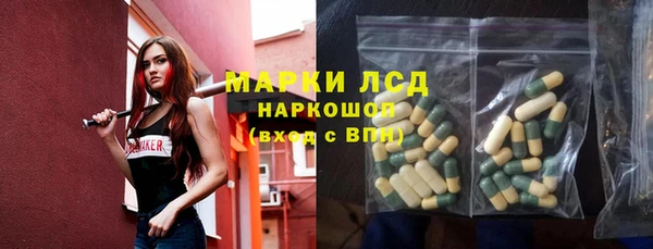 сатива Горно-Алтайск
