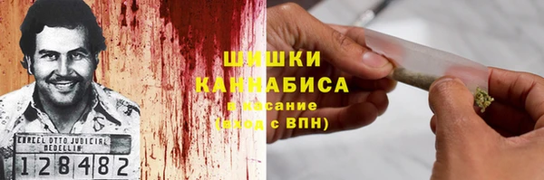 сатива Горно-Алтайск
