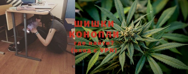 молекула духа Горнозаводск