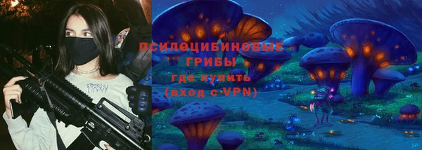 сатива Горно-Алтайск
