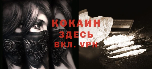 молекула духа Горнозаводск
